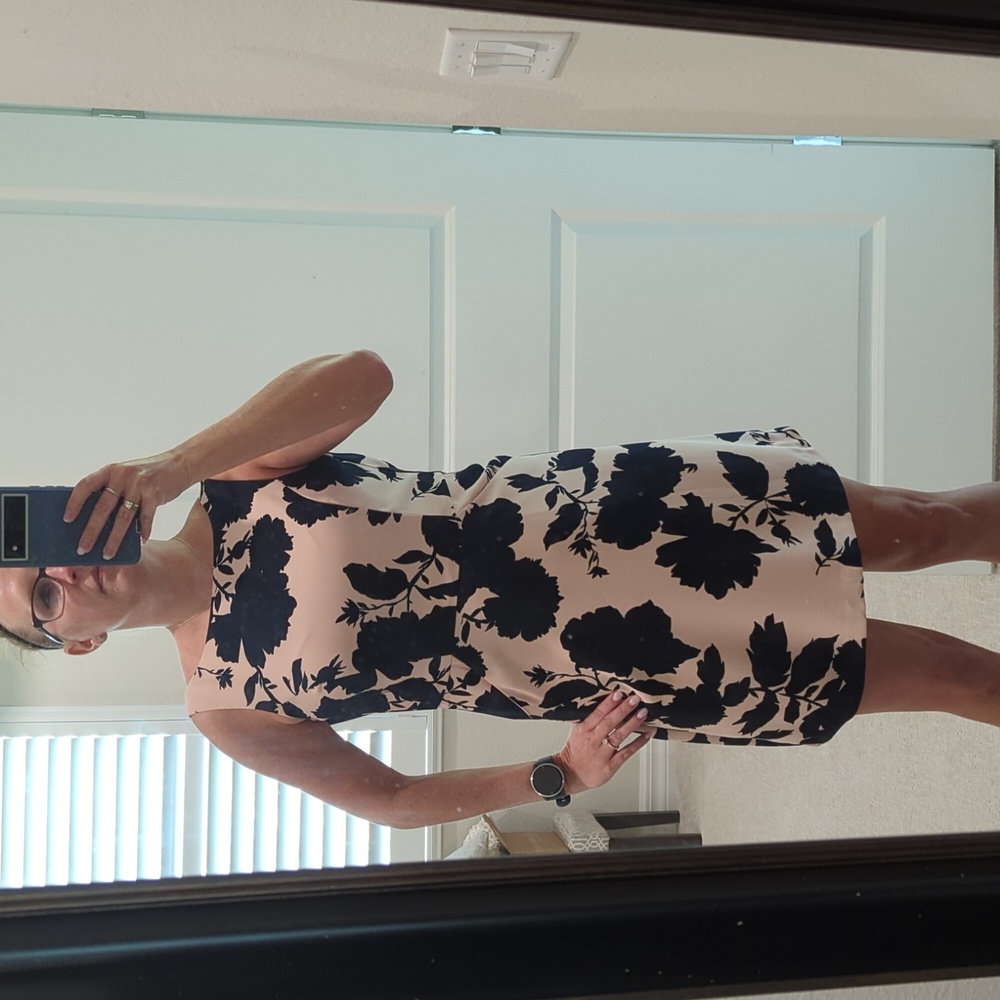 The Limited Dress
